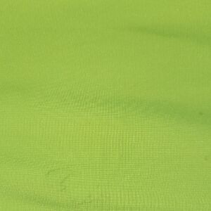 Danskin Lime Green Short Sleeve Tee